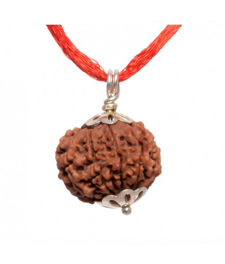 Ten Face Rudraksha with Silver Pendant