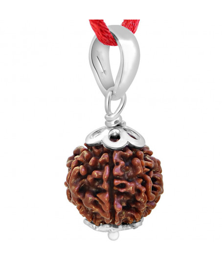 Three Mukhi Rudrakshab with silver Pendant