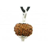 Eight Face Rudraksha with Silver Pendant 