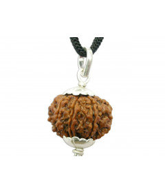 Eight Face Rudraksha with Silver Pendant 