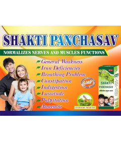 Shakti Panchasav