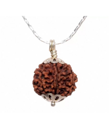 Seven Face Rudraksha with Silver Pendant